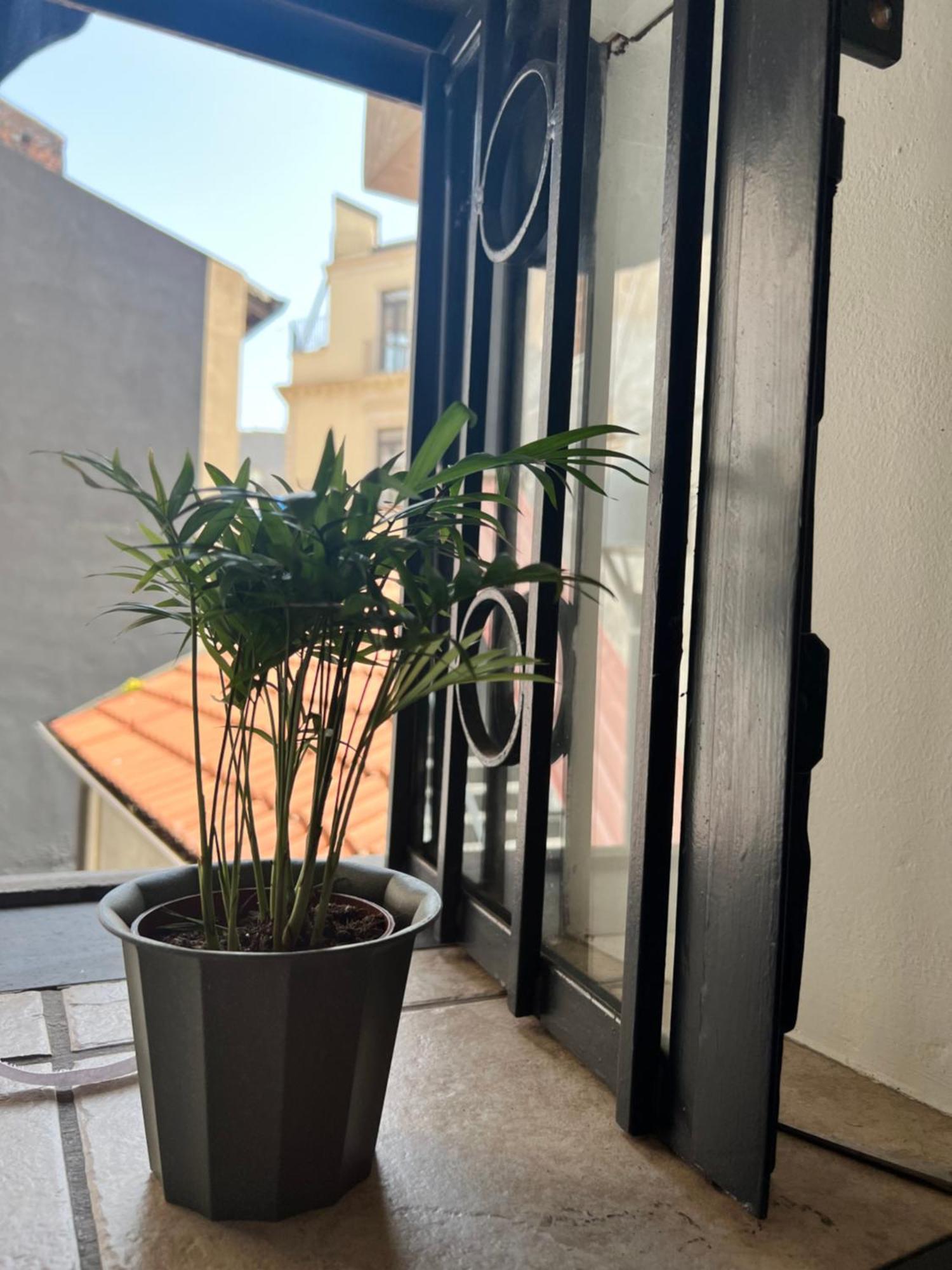 Barcaioli'S Home Catania Exterior photo